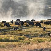 Review photo of canyon campground Wyoming by Scott D., August 27, 2025