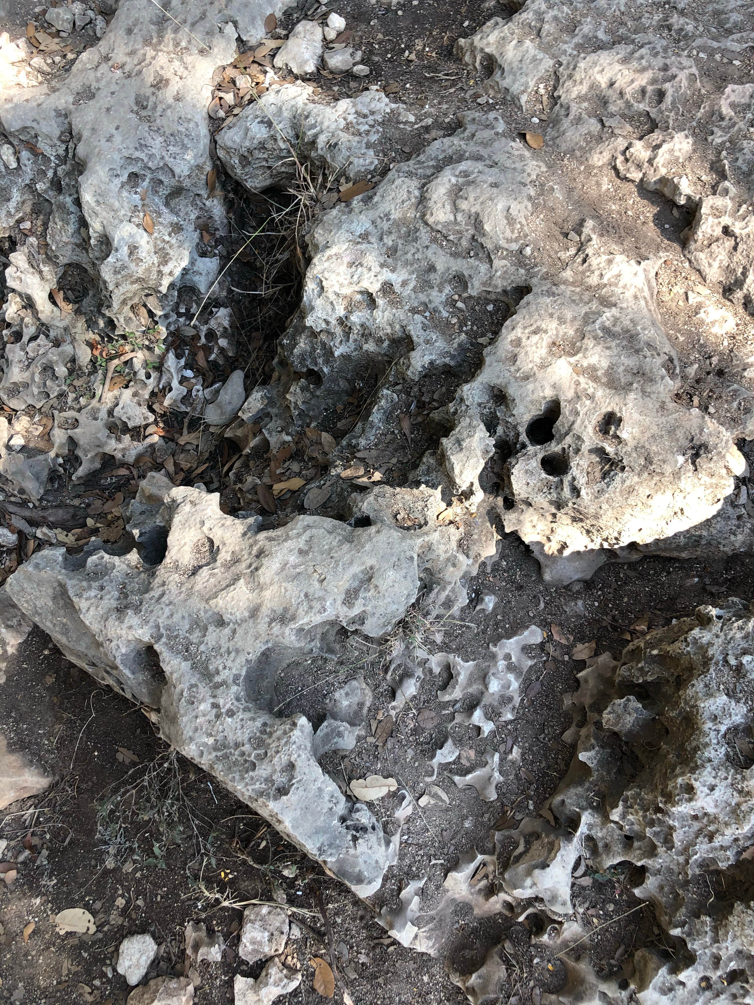 Camping near Lake Pointe Resort: COE Canyon Lake Canyon Park, Canyon Lake, Texas