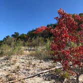 Review photo of COE Canyon Lake Canyon Park by Lexi W., February 8, 2024