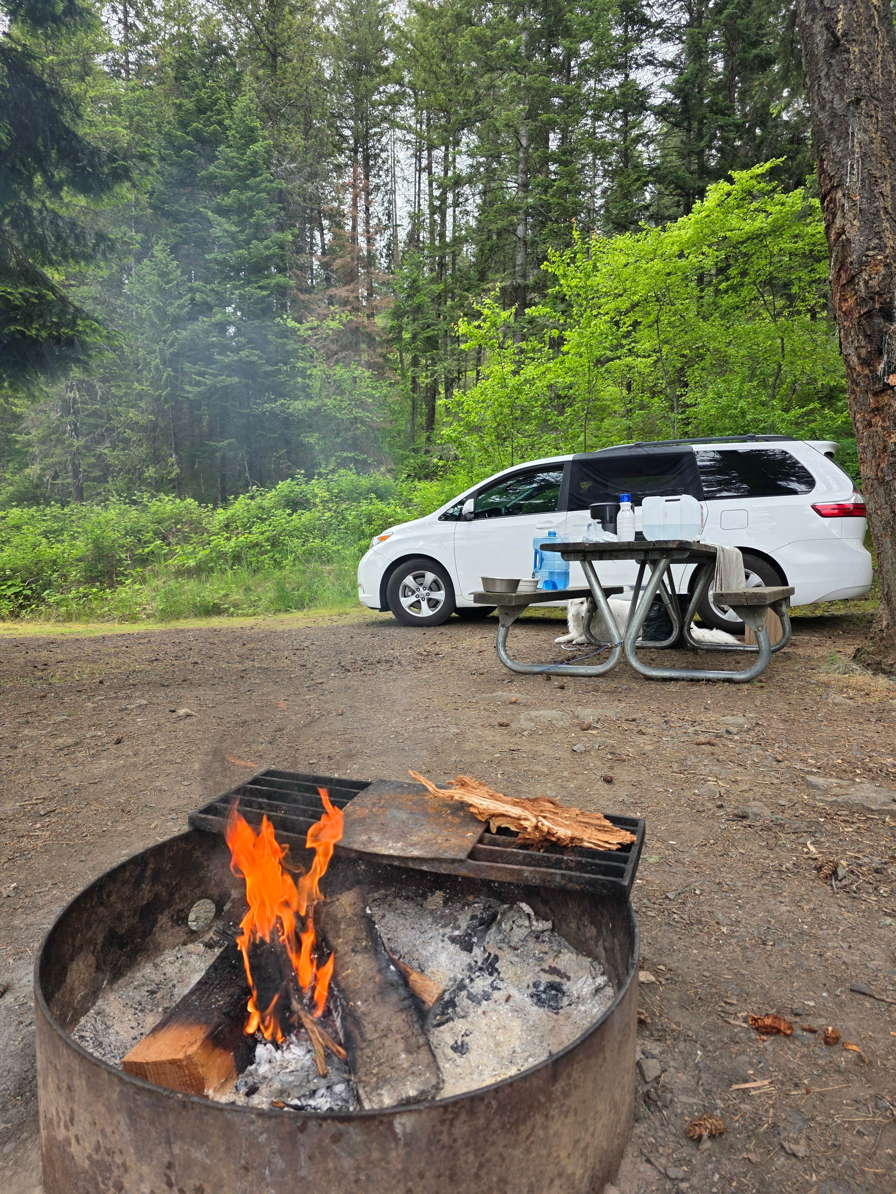 Camper-submitted photo at Canyon Creek near Deary, ID