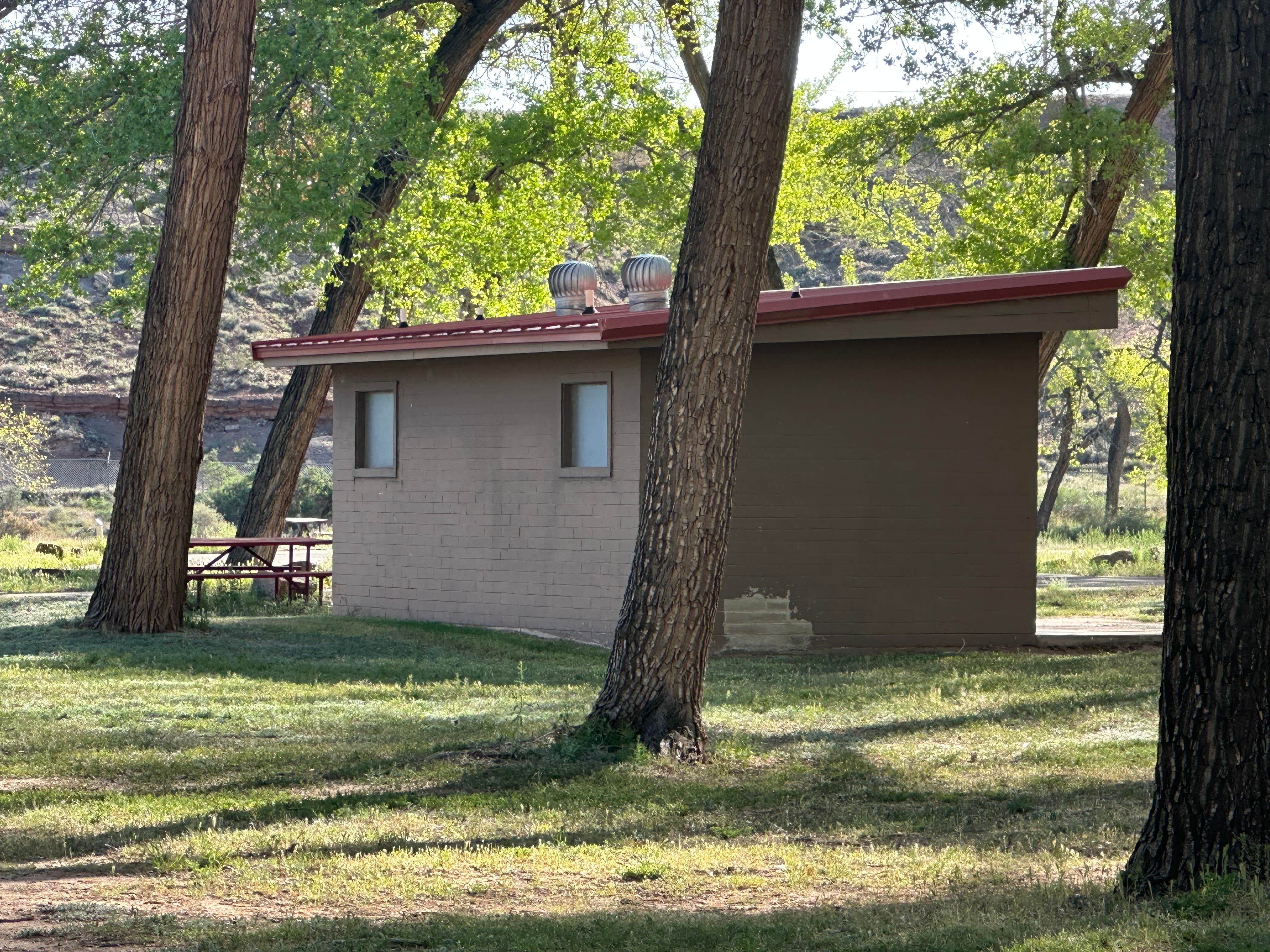 Camper-submitted photo at Cottonwood Campground near Canyon De Chelly National Monument