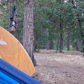 Review photo of Canyon Gulch by Eight Dollar Moutain by Dahlia , June 16, 2026