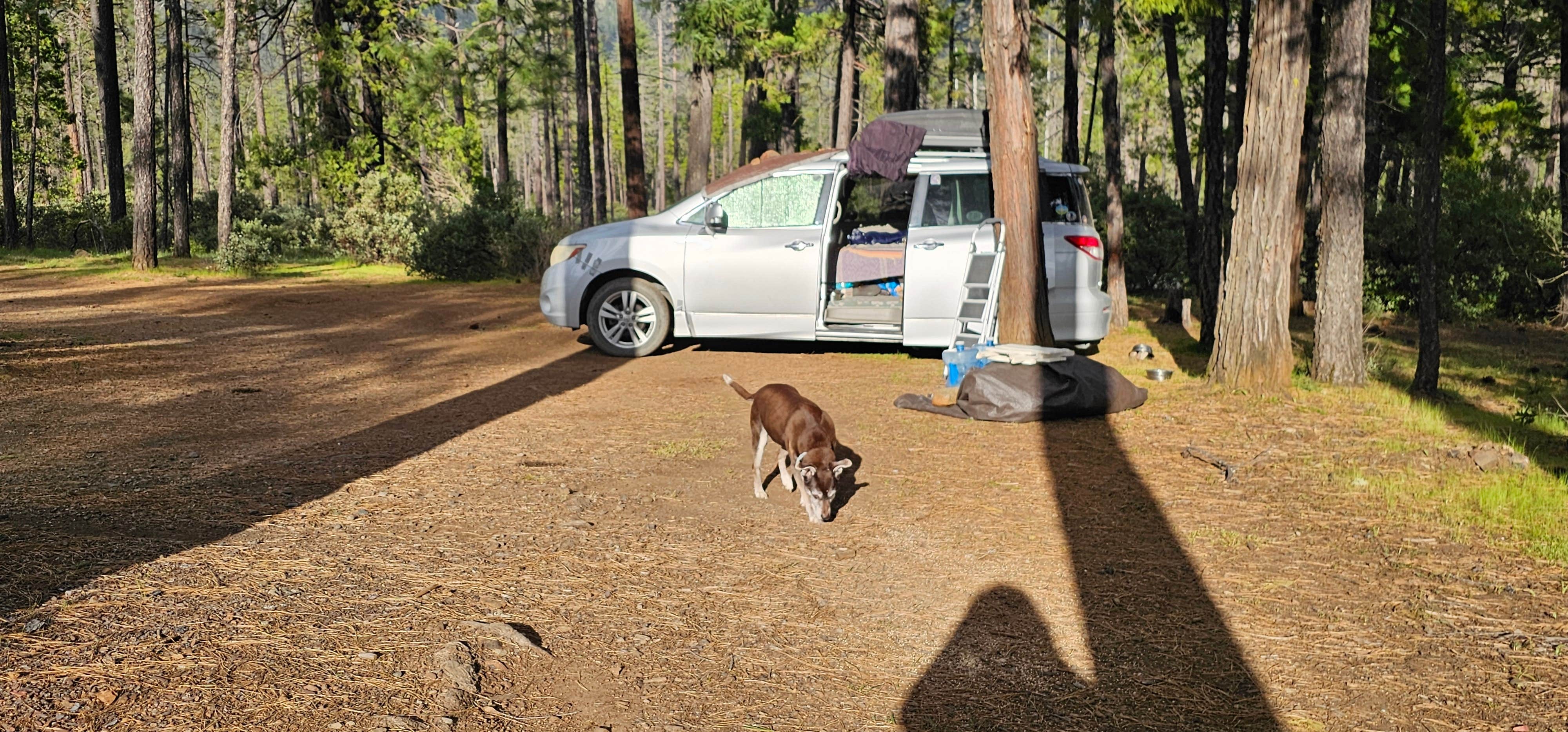 Canyon Gulch by Eight Dollar Moutain