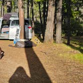 Review photo of Canyon Gulch by Eight Dollar Moutain by Natalie T., April 2, 2026