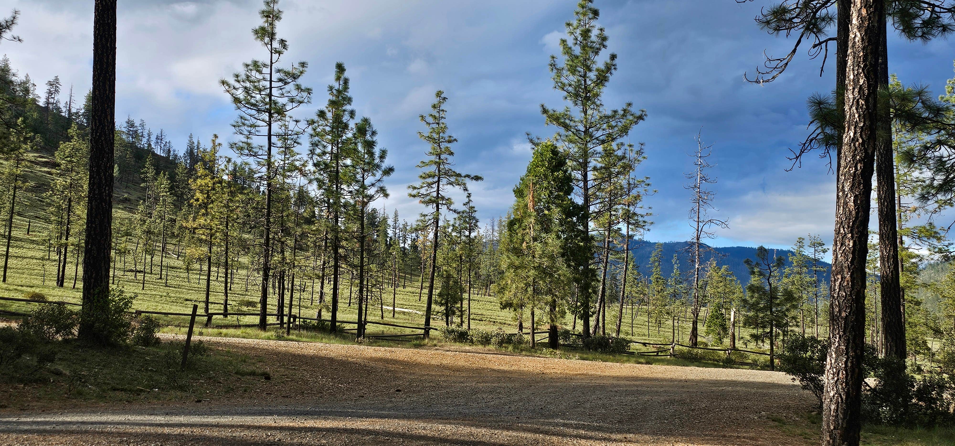 Canyon Gulch by Eight Dollar Moutain