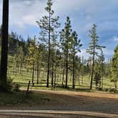 Review photo of Canyon Gulch by Eight Dollar Moutain by Natalie T., April 2, 2026