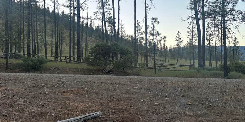 Camper submitted image from Canyon Gulch by Eight Dollar Moutain