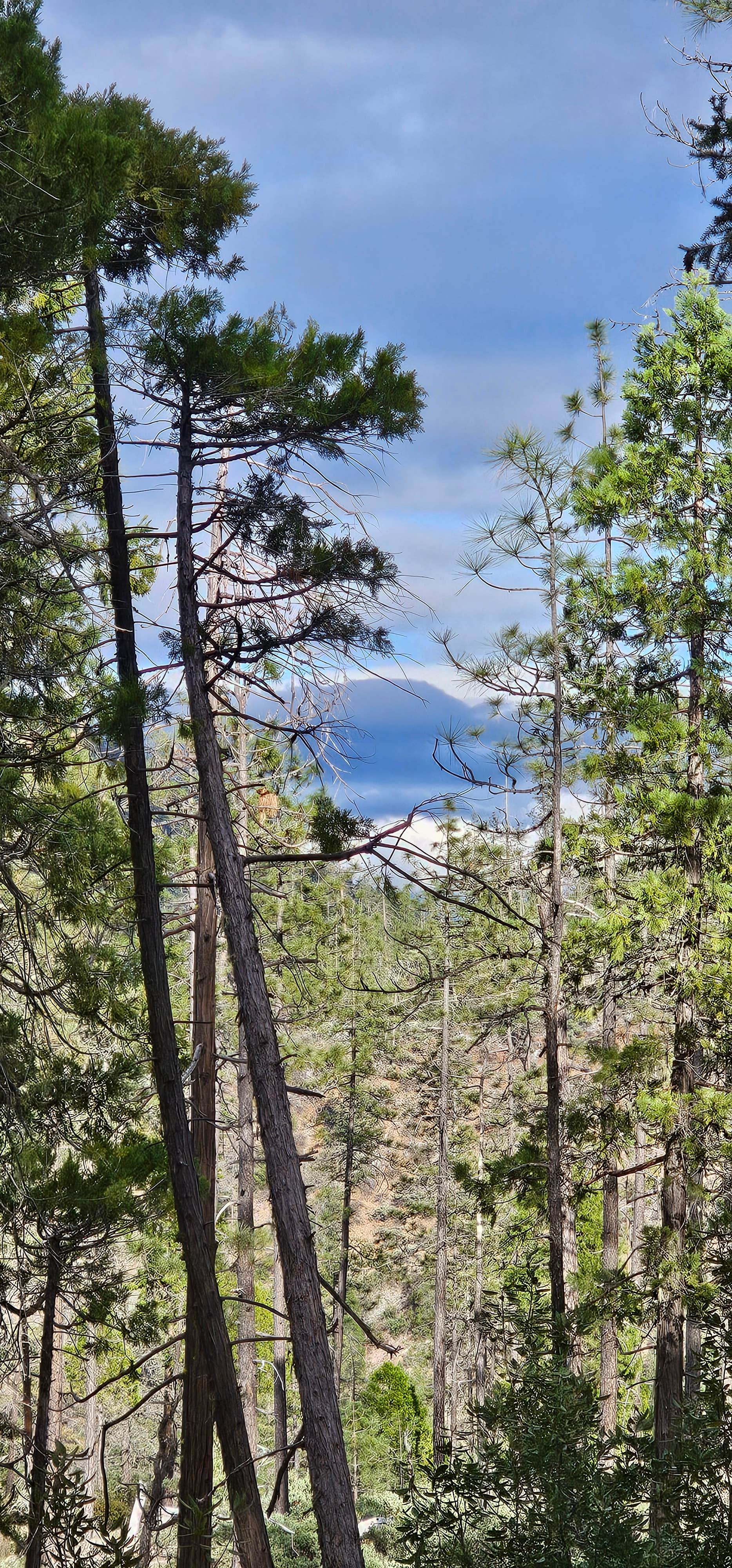 Canyon Gulch by Eight Dollar Moutain