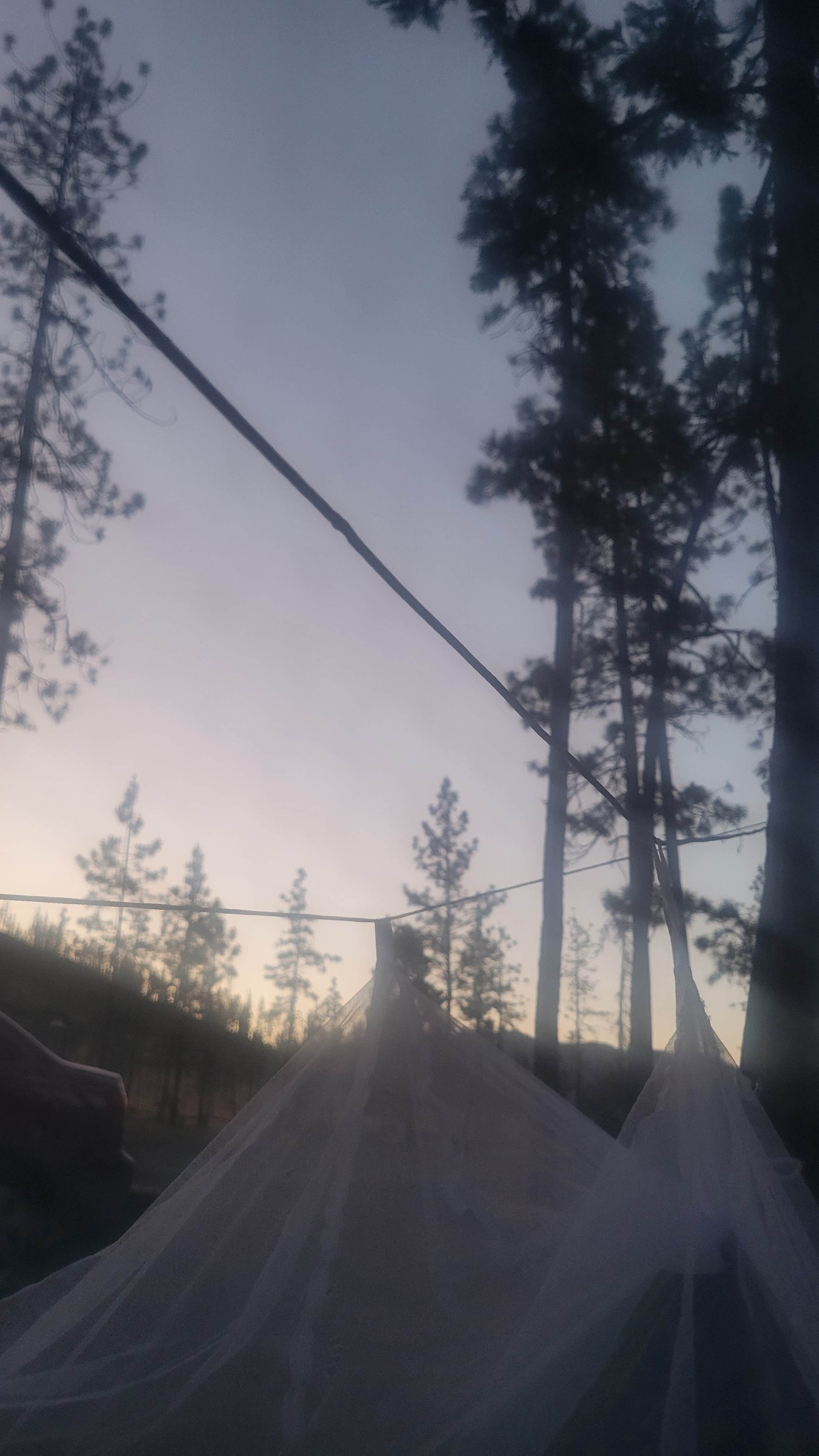 Shelby S.'s photo of a dispersed camping area at Canyon Gulch by Eight Dollar Moutain near Smith River, CA