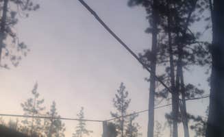 Shelby S.'s photo of a dispersed camping area at Canyon Gulch by Eight Dollar Moutain near Medford, OR