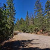 Review photo of Canyon Gulch by Eight Dollar Moutain by Dahlia , June 16, 2026