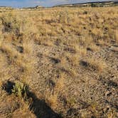 Review photo of Canyon Rd Dispersed by ez , July 21, 2025