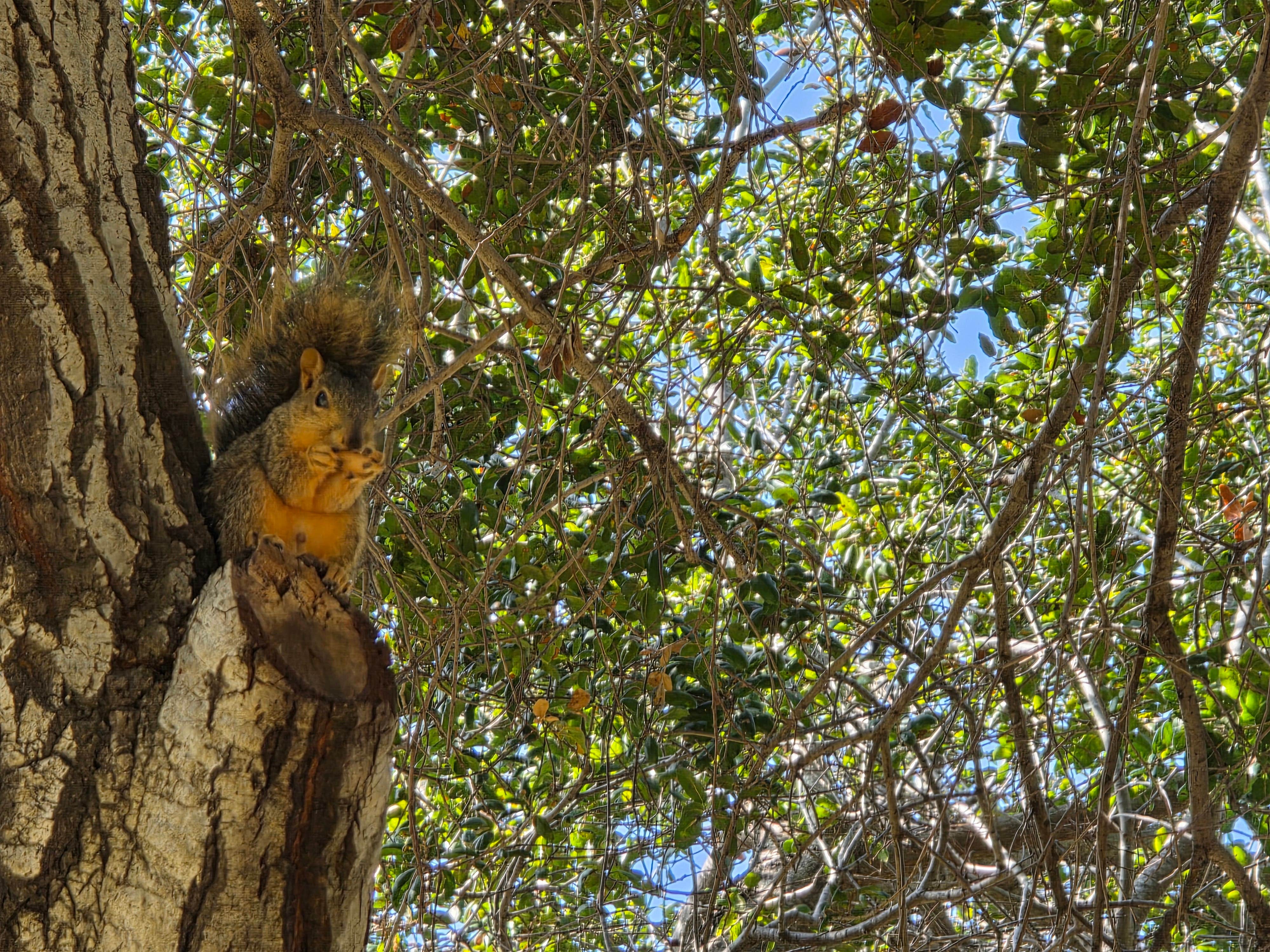 Camper-submitted photo at Canyon RV Park near Sunset Beach, CA