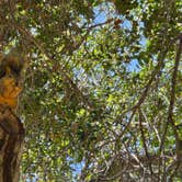 Review photo of Canyon RV Park by Vin W., November 3, 2025