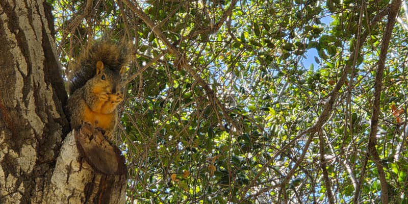 Camper submitted image from Canyon RV Park