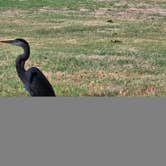 Review photo of Canyon RV Park by Vin W., November 3, 2025