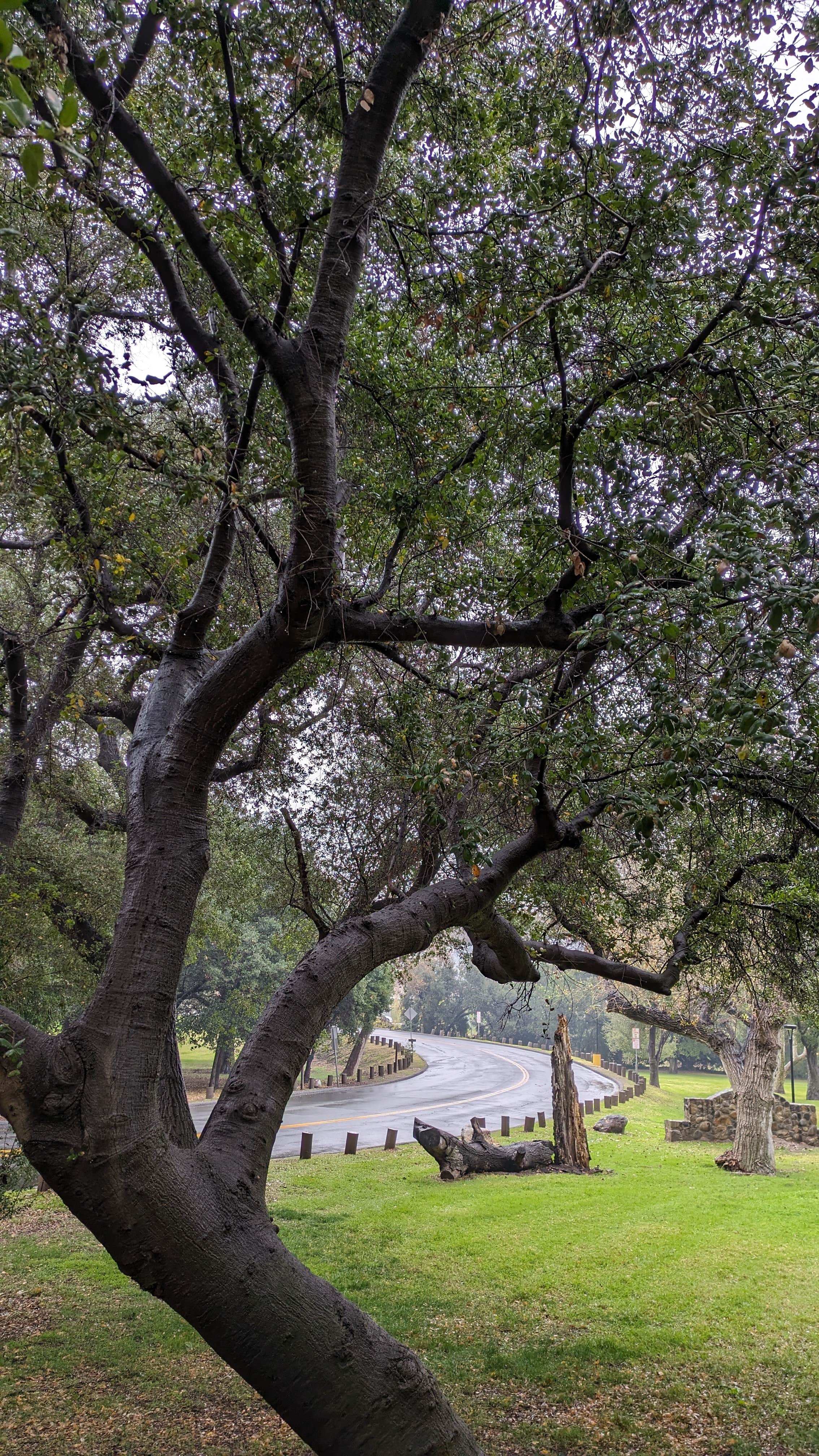 Camper-submitted photo at Canyon RV Park near Sunset Beach, CA