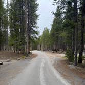 Review photo of Canyon Campground — Yellowstone National Park by Lori J., June 2, 2025