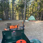 Review photo of Canyon Campground — Yellowstone National Park by Elise V., July 26, 2024