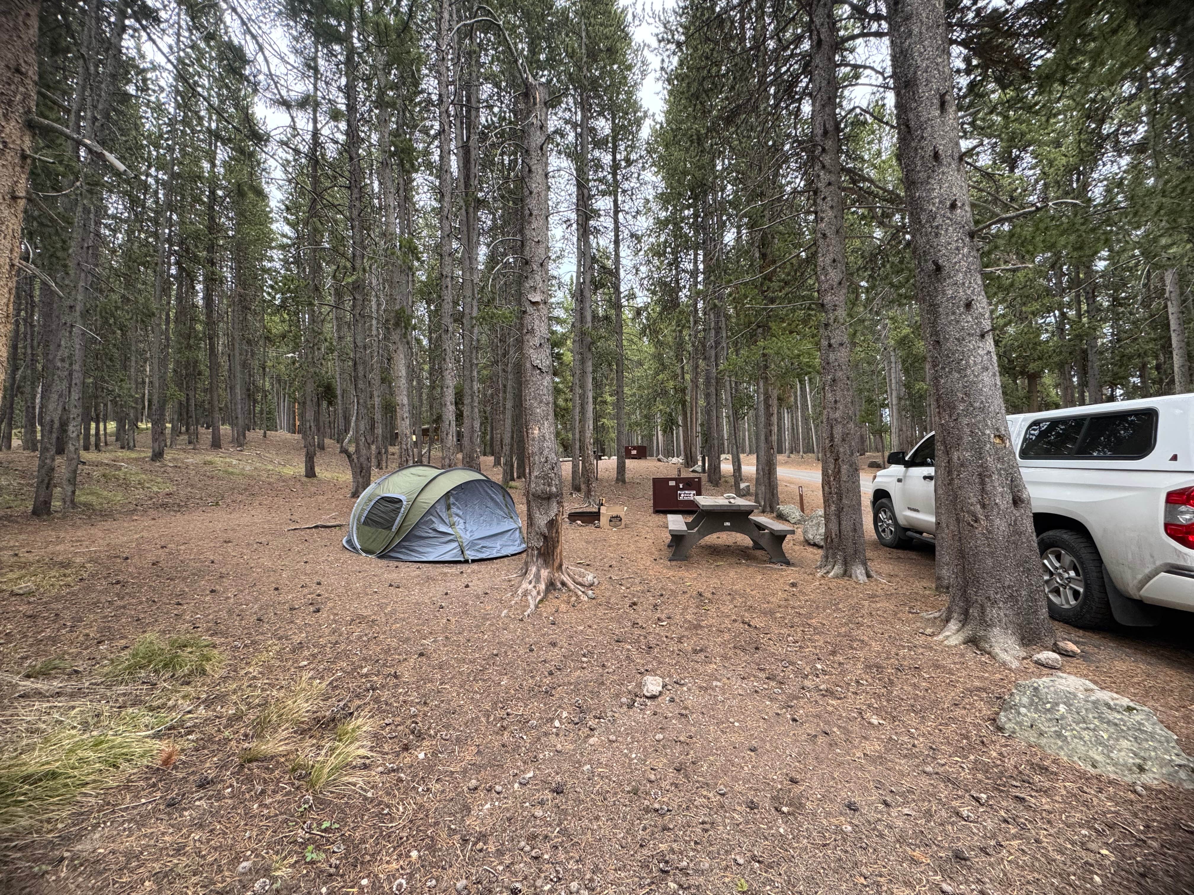 Lori J.'s photo at Canyon Campground — Yellowstone National Park near Yellowstone National Park