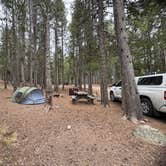 Review photo of Canyon Campground — Yellowstone National Park by Lori J., June 2, 2025
