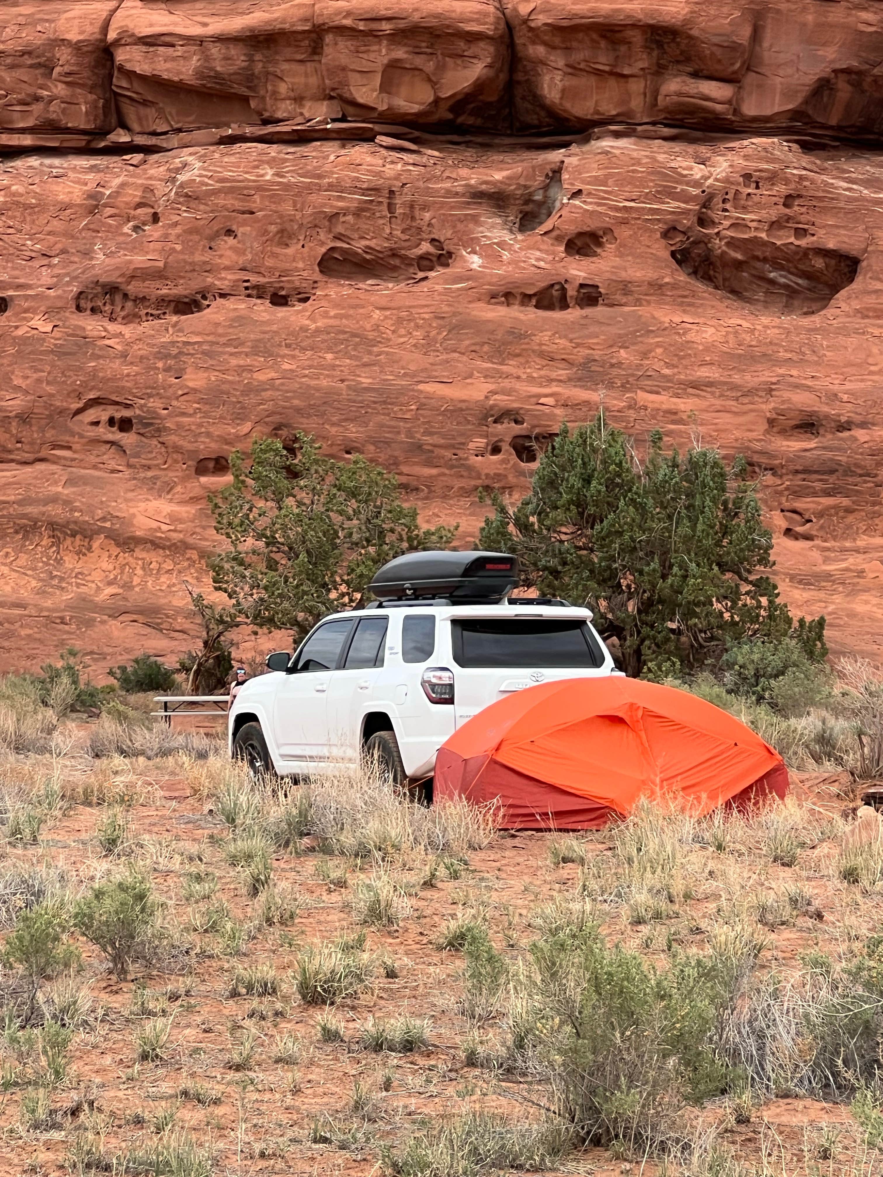 Tim S.'s photo at Needles Outpost Campground in Utah
