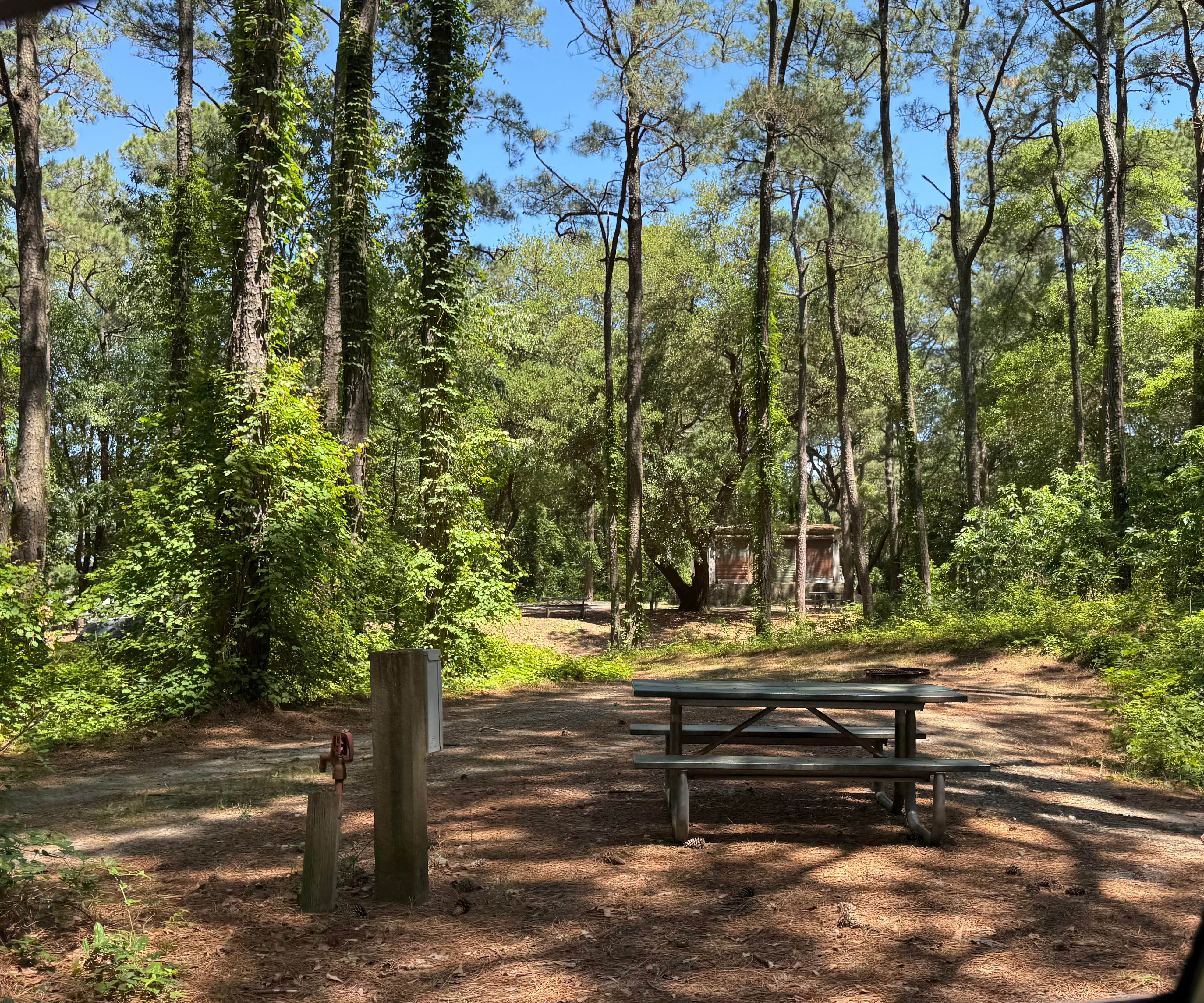 Camper submitted image from Military Park Fort Story Cape Henry RV Park - 5