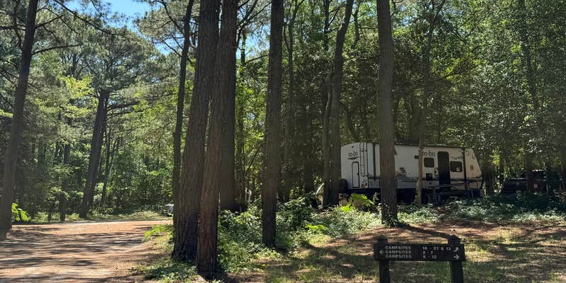 Camper submitted image from Military Park Fort Story Cape Henry RV Park