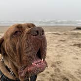 Review photo of cape lookout by Richard T., July 22, 2026