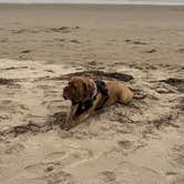 Review photo of cape lookout by Richard T., July 22, 2026