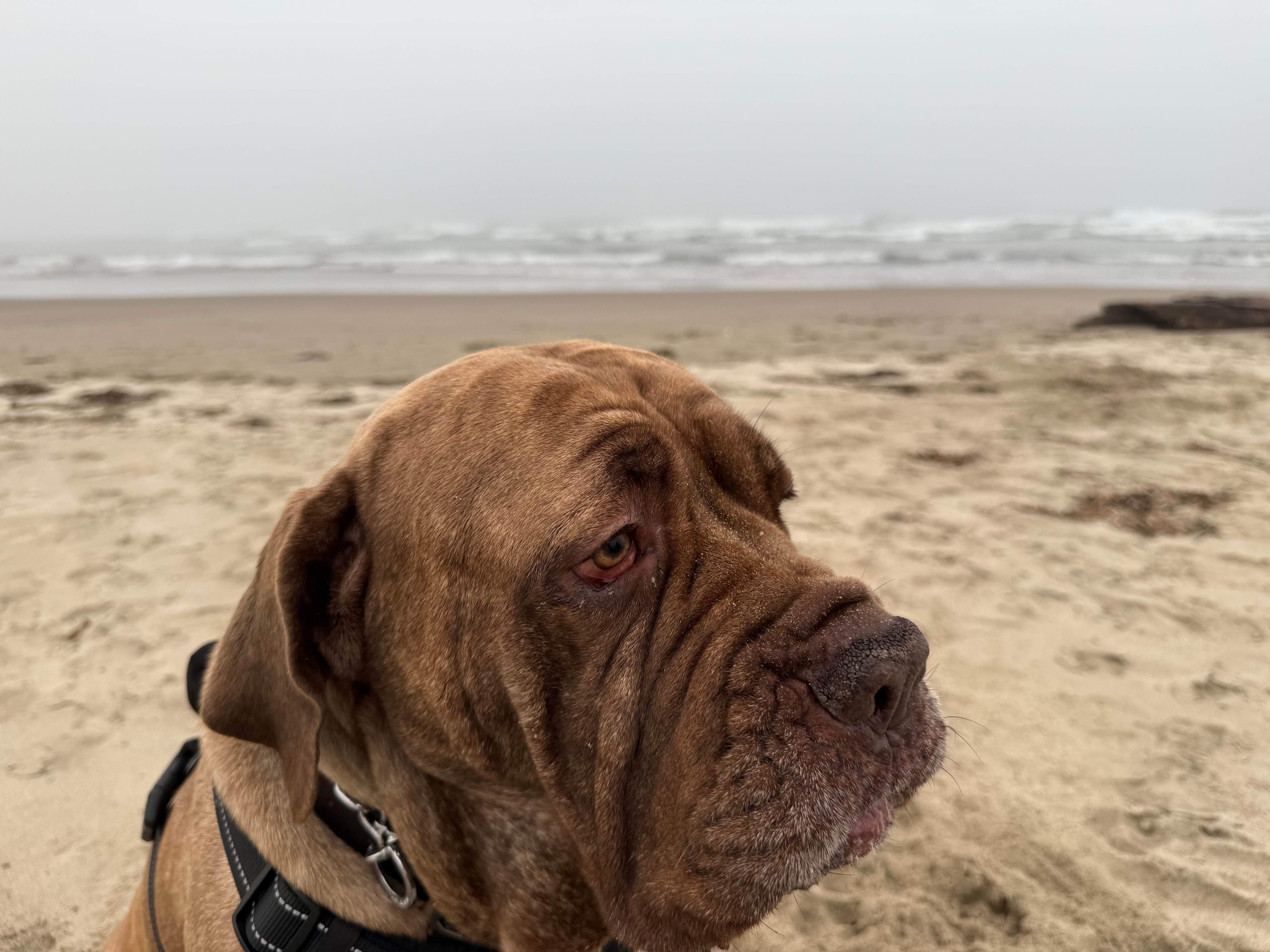 Camper-submitted photo at cape lookout near Netarts, OR