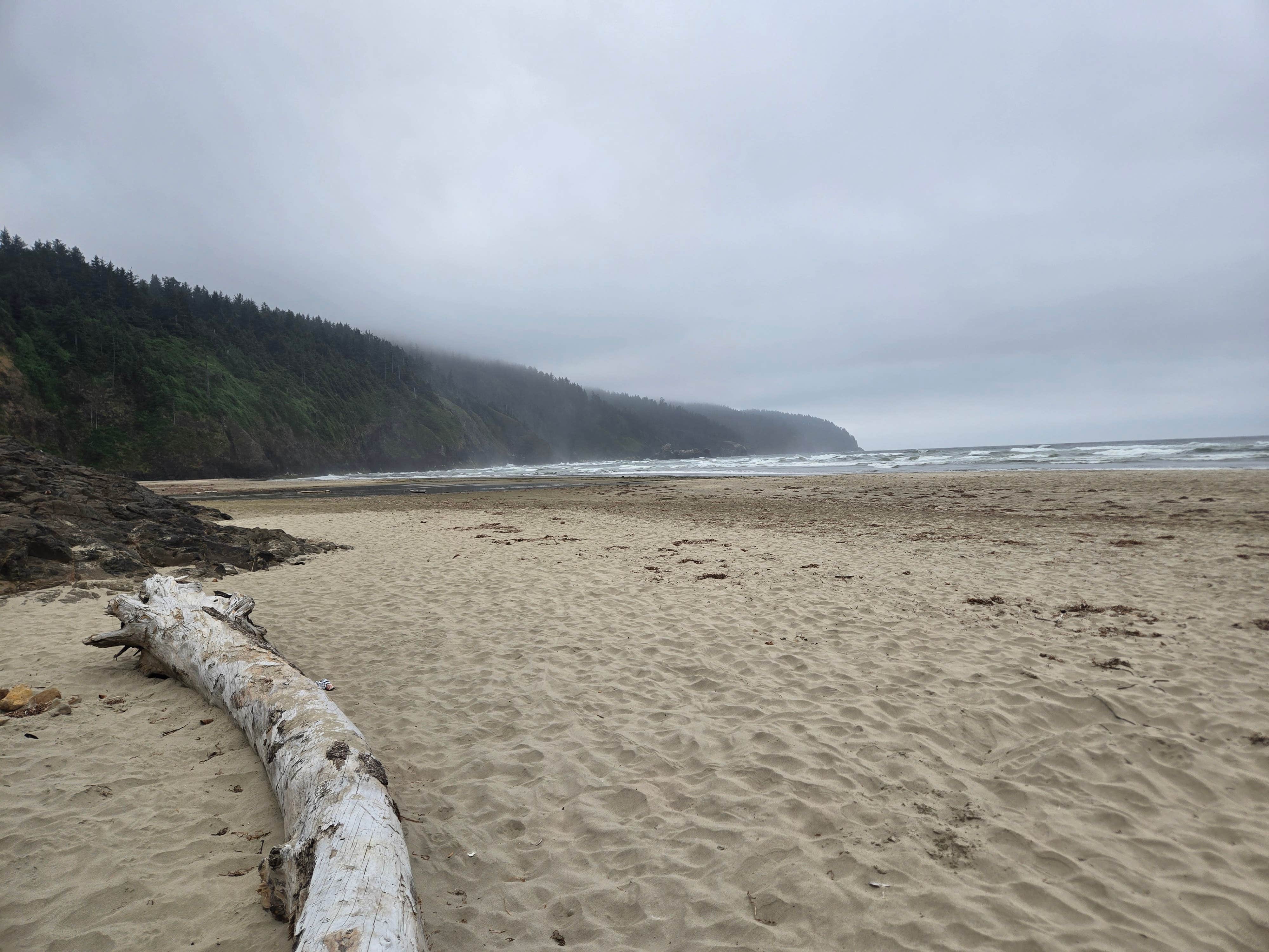Camper-submitted photo at cape lookout near Netarts, OR