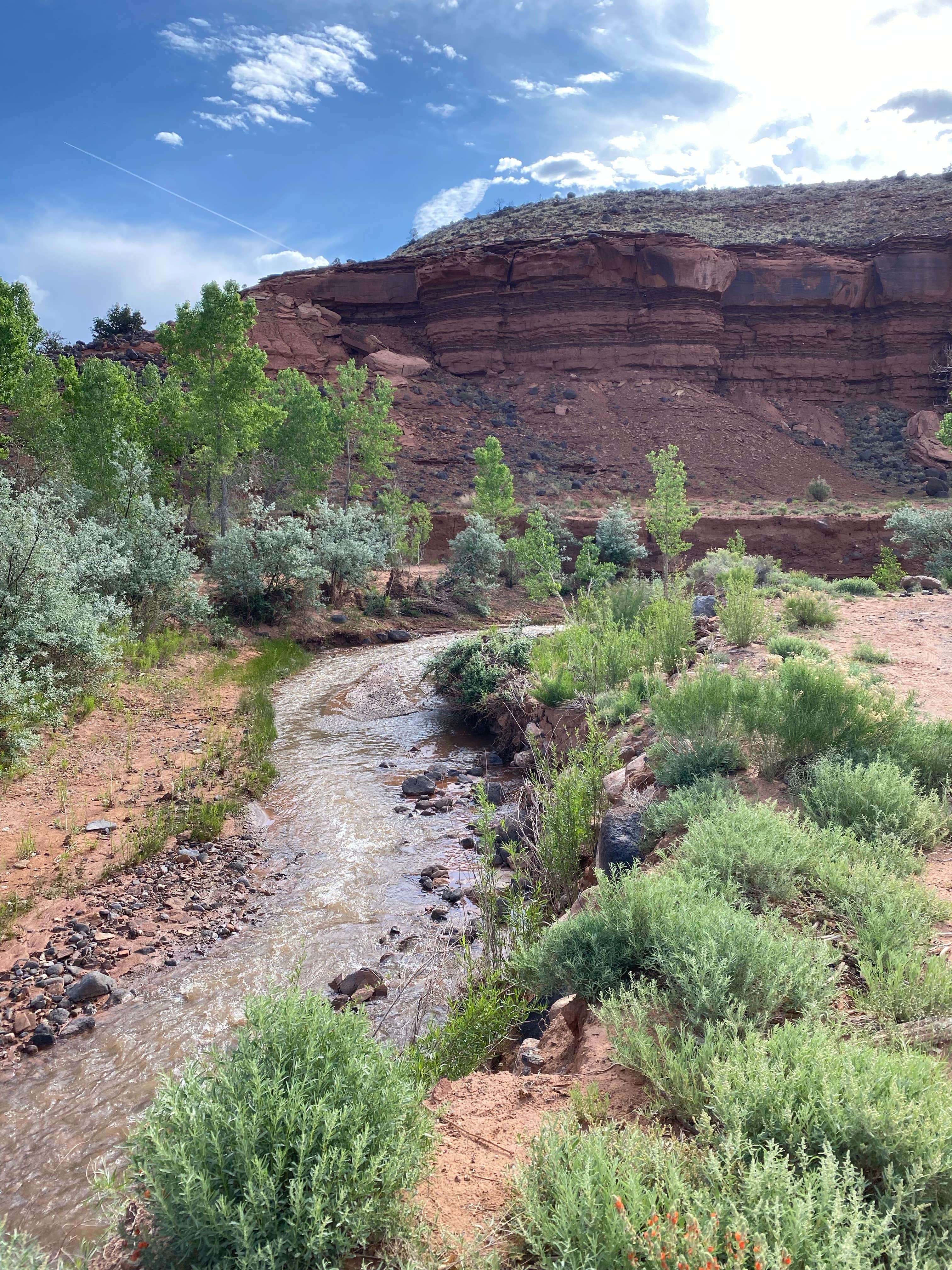 Camper submitted image from Capitol Reef Dispersed Camping - 4