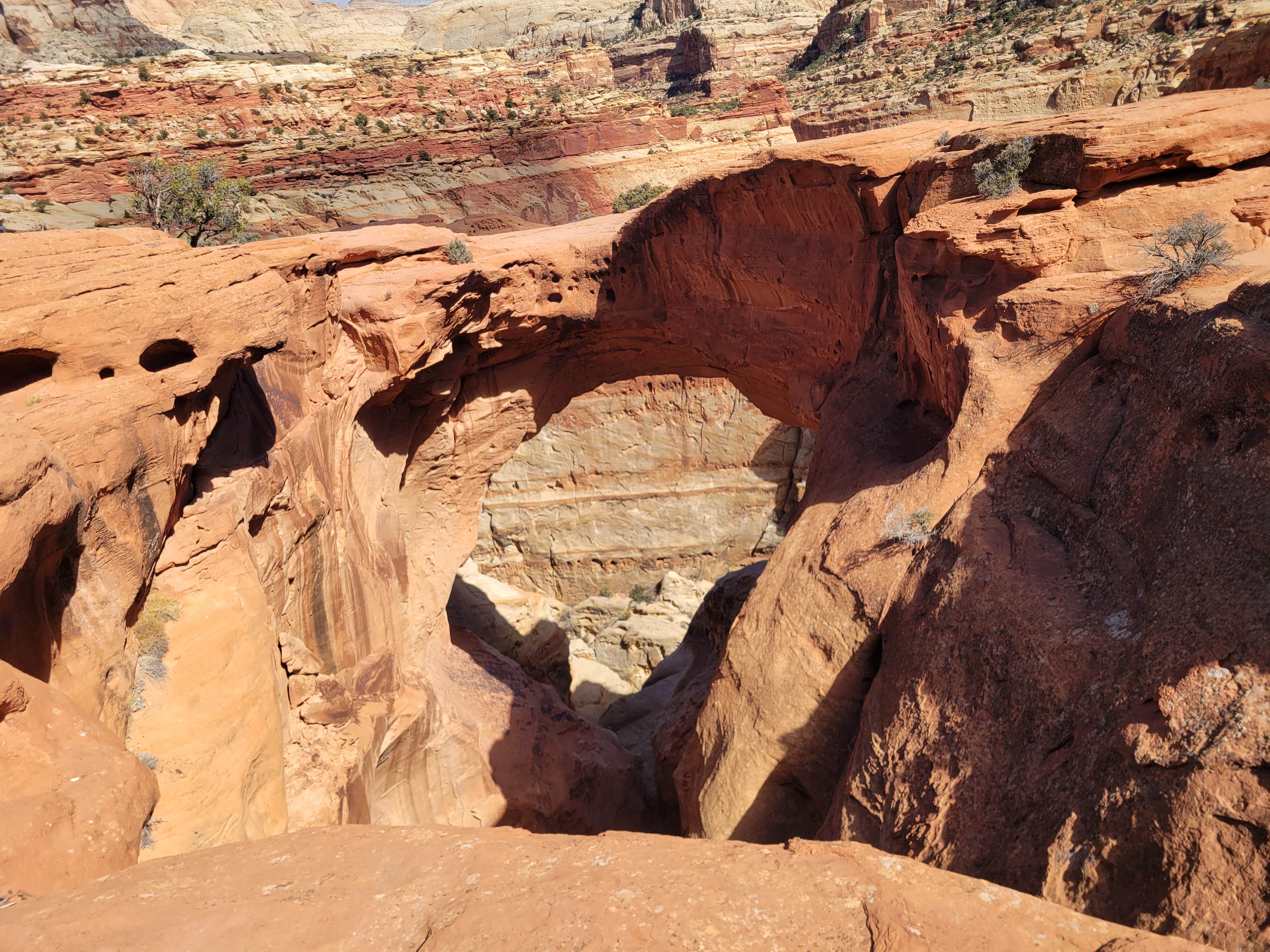 Camping near Fruita Campground — Capitol Reef National Park: Capitol Reef East, Capitol Reef National Park, Utah