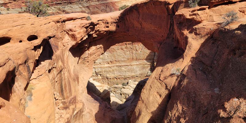 Camper submitted image from Capitol Reef East
