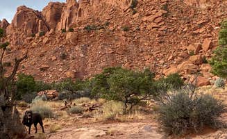 Caroline K.'s photo of camping with pets at Capitol Reef National Park Dispersed Camping near Bicknell, UT
