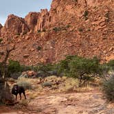 Review photo of Capitol Reef National Park Dispersed Camping by Caroline K., October 20, 2024