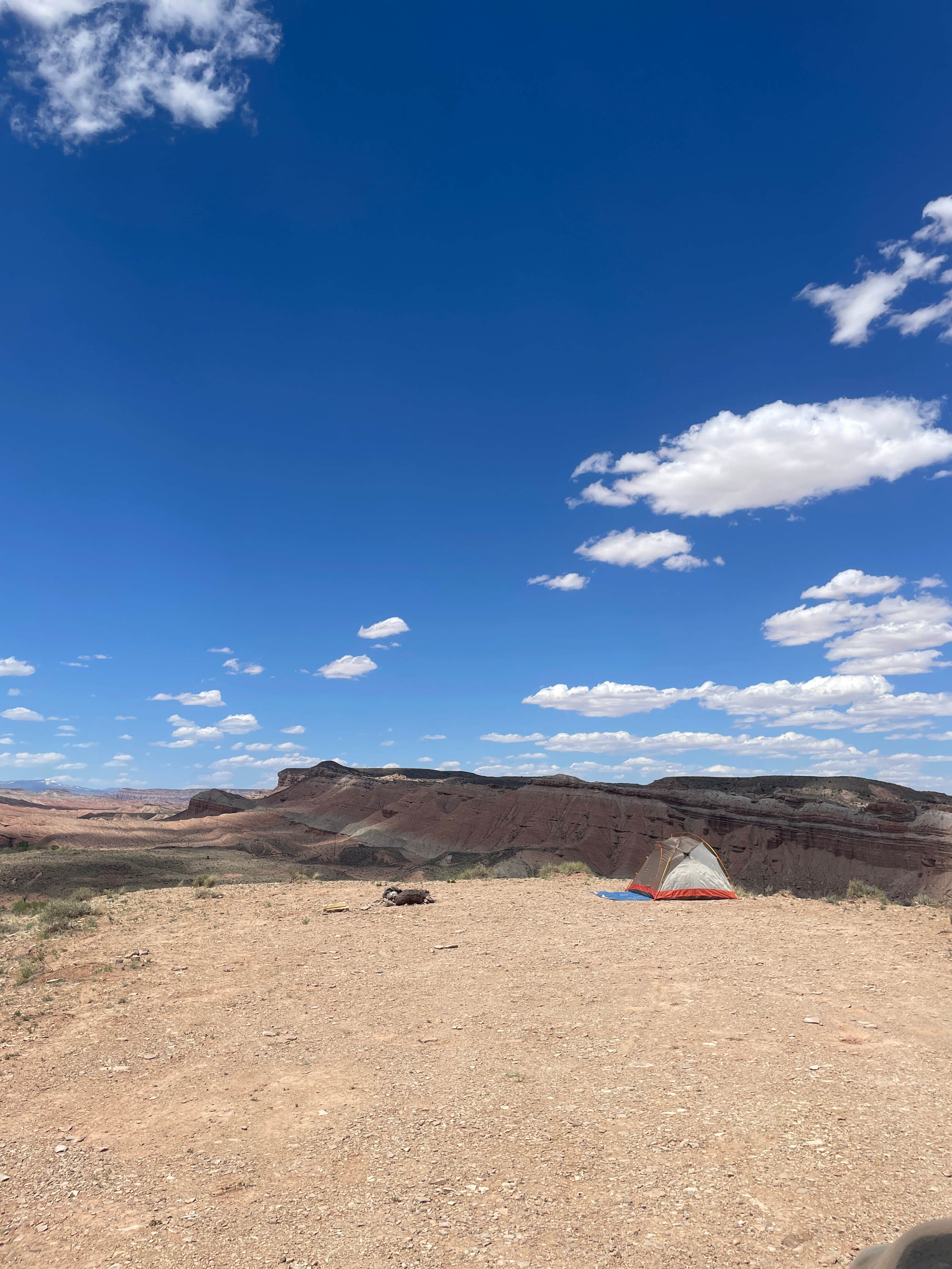 Camper submitted image from Capitol Reef National Park - 2