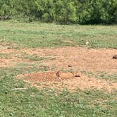 Review photo of Wild Horse Equestrian Area — Caprock Canyons State Park by Brian K., June 10, 2026