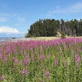 Review photo of Captain Cook State Recreation Area Discovery Campground by Marcus H., July 31, 2026