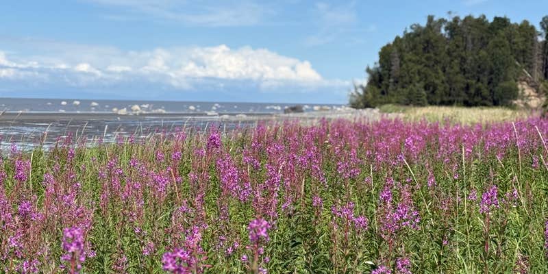 Camper submitted image from Captain Cook State Recreation Area Discovery Campground