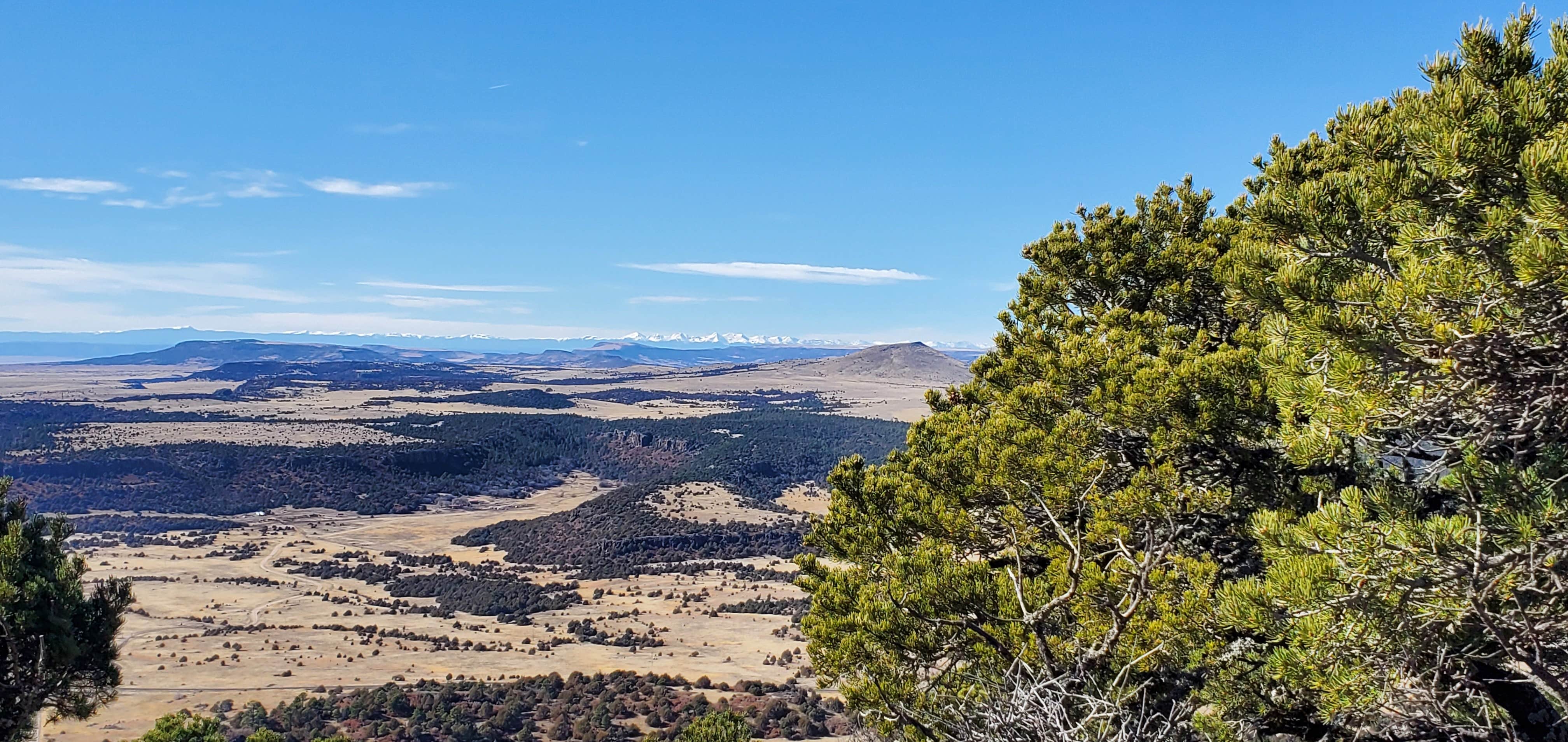 Camper-submitted photo at Capulin RV Park near Capulin, NM