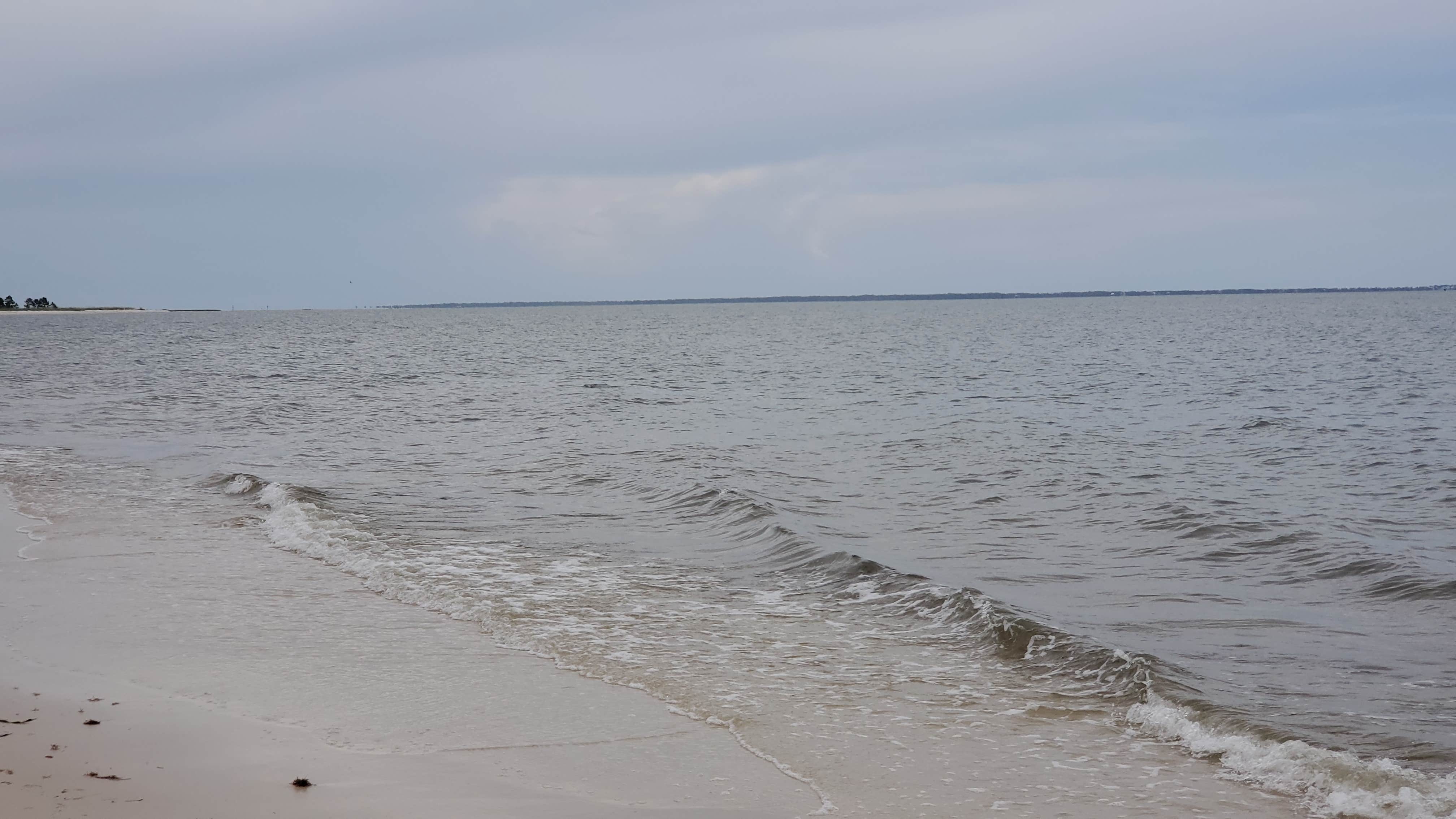 Camper submitted image from Carrabelle Beach RV Resort - 2