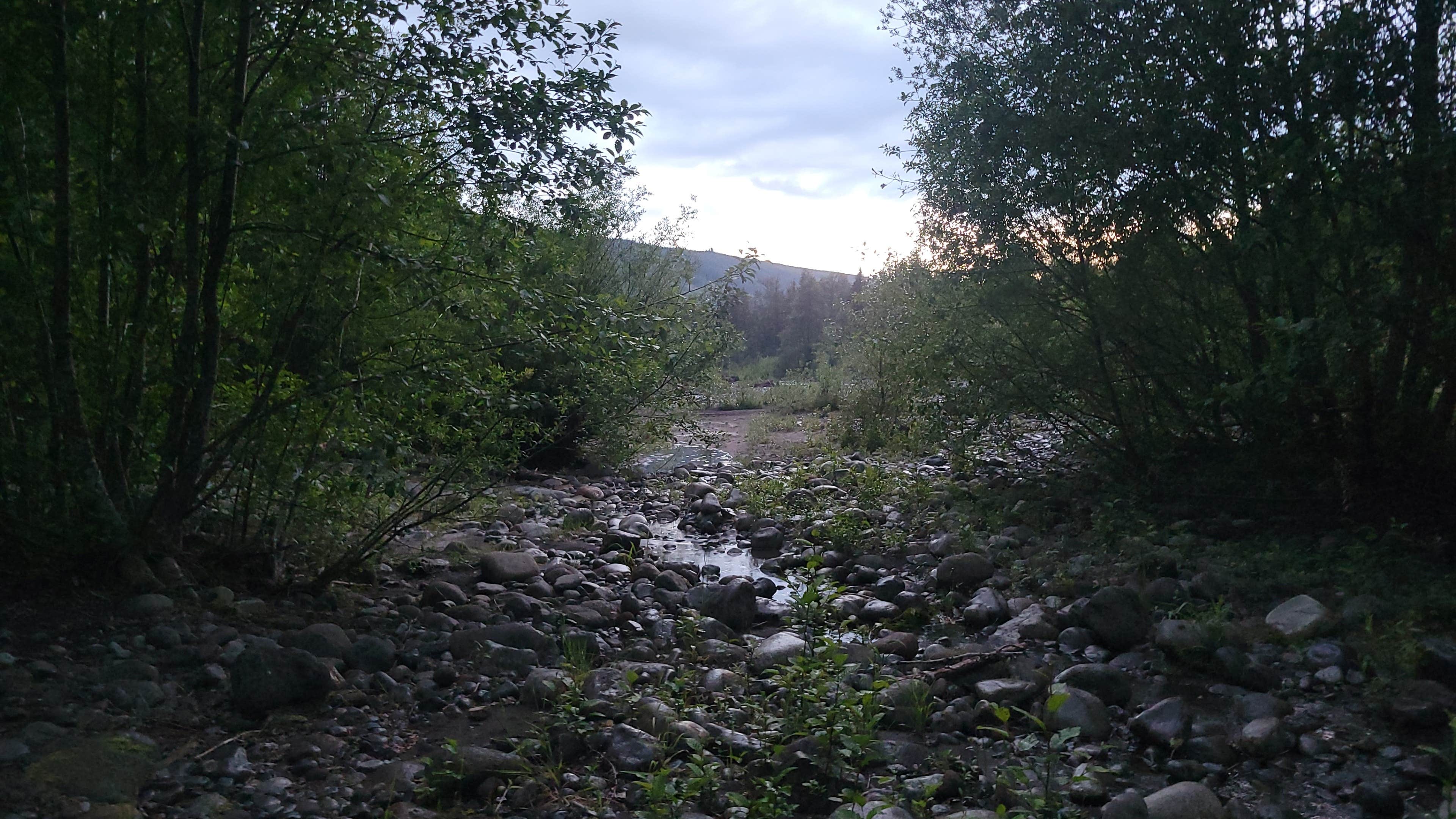 Camper-submitted photo at Carbon River near Lake Tapps, WA