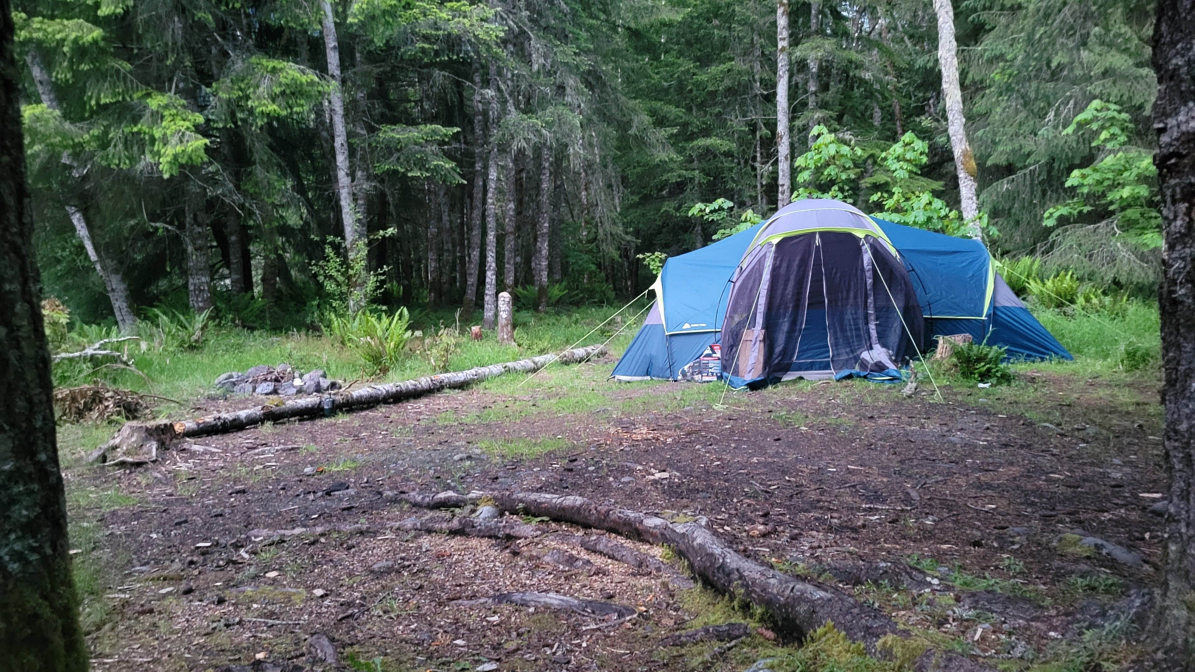 Flare9's photo of a dispersed camping area at Carbon River near Lake Tapps, WA