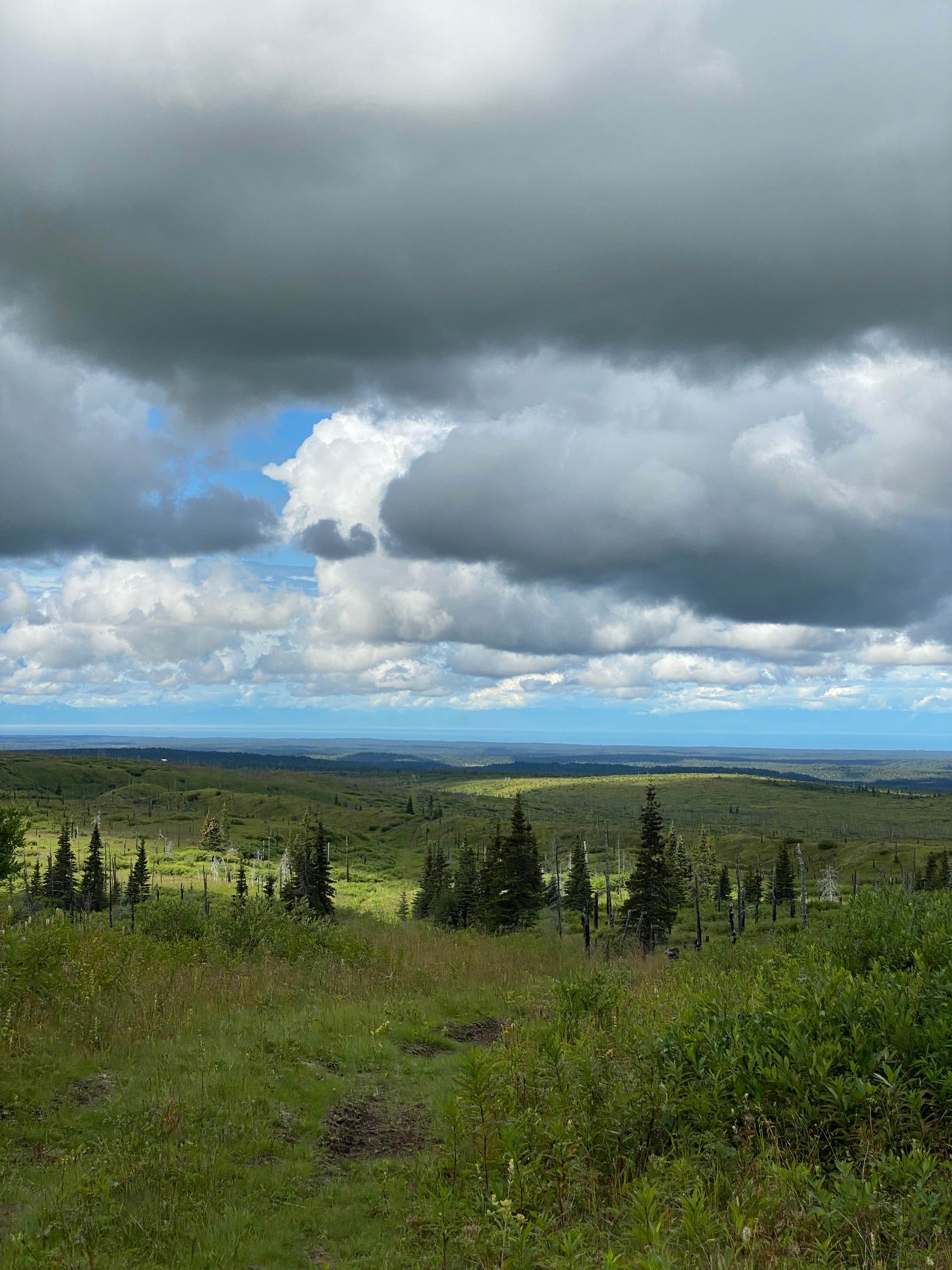 Camping near D and M RV Park and Cabins: Caribou Hills Recreation Area Dispersed, Ninilchik, Alaska