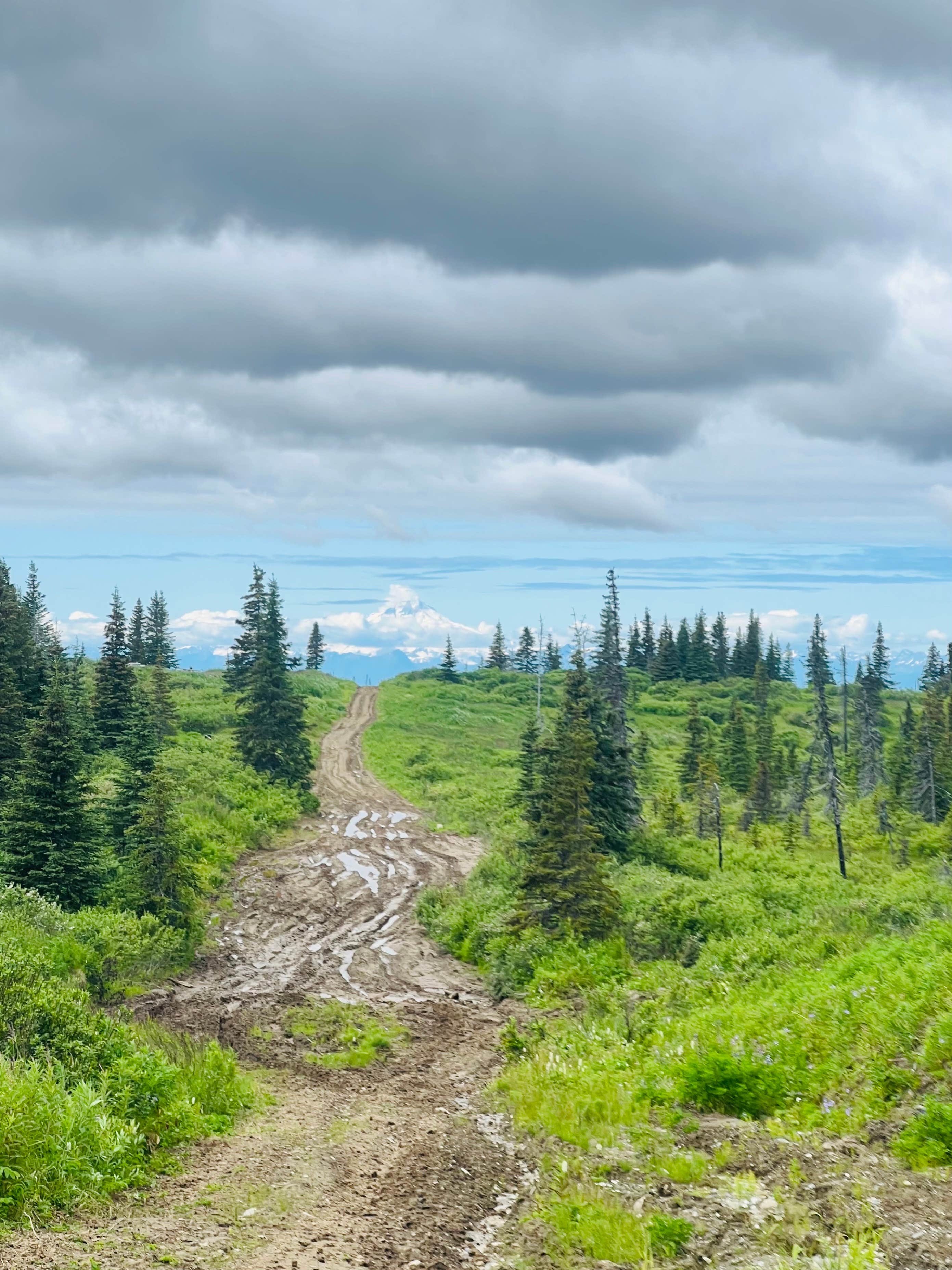 Camper-submitted photo at Caribou Hills Recreation Area Dispersed near Ninilchik, AK