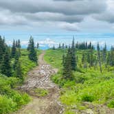 Review photo of Caribou Hills Recreation Area Dispersed by AKExplorer G., August 16, 2024