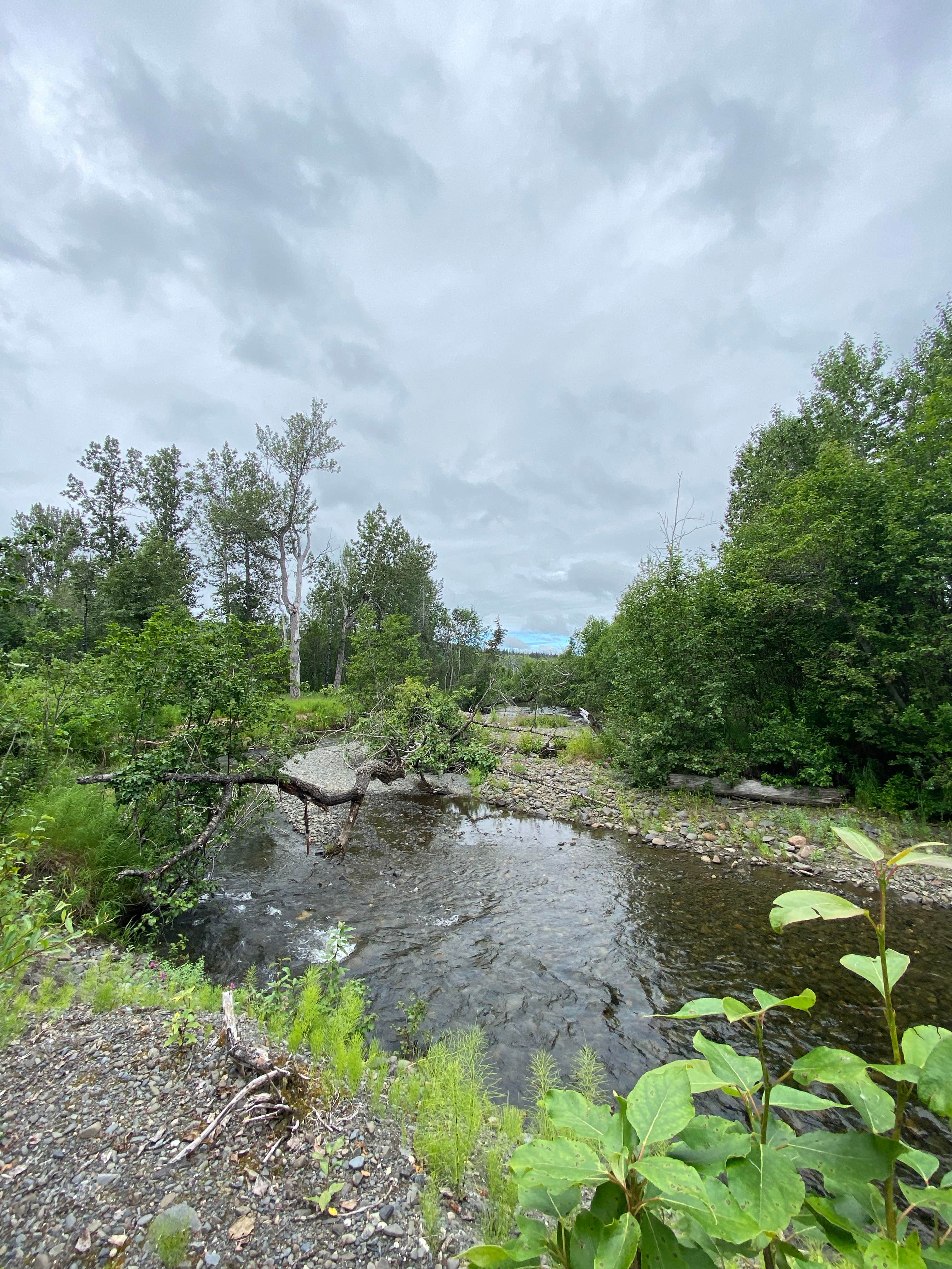 Camper submitted image from Caribou Hills Recreation Area Dispersed - 2