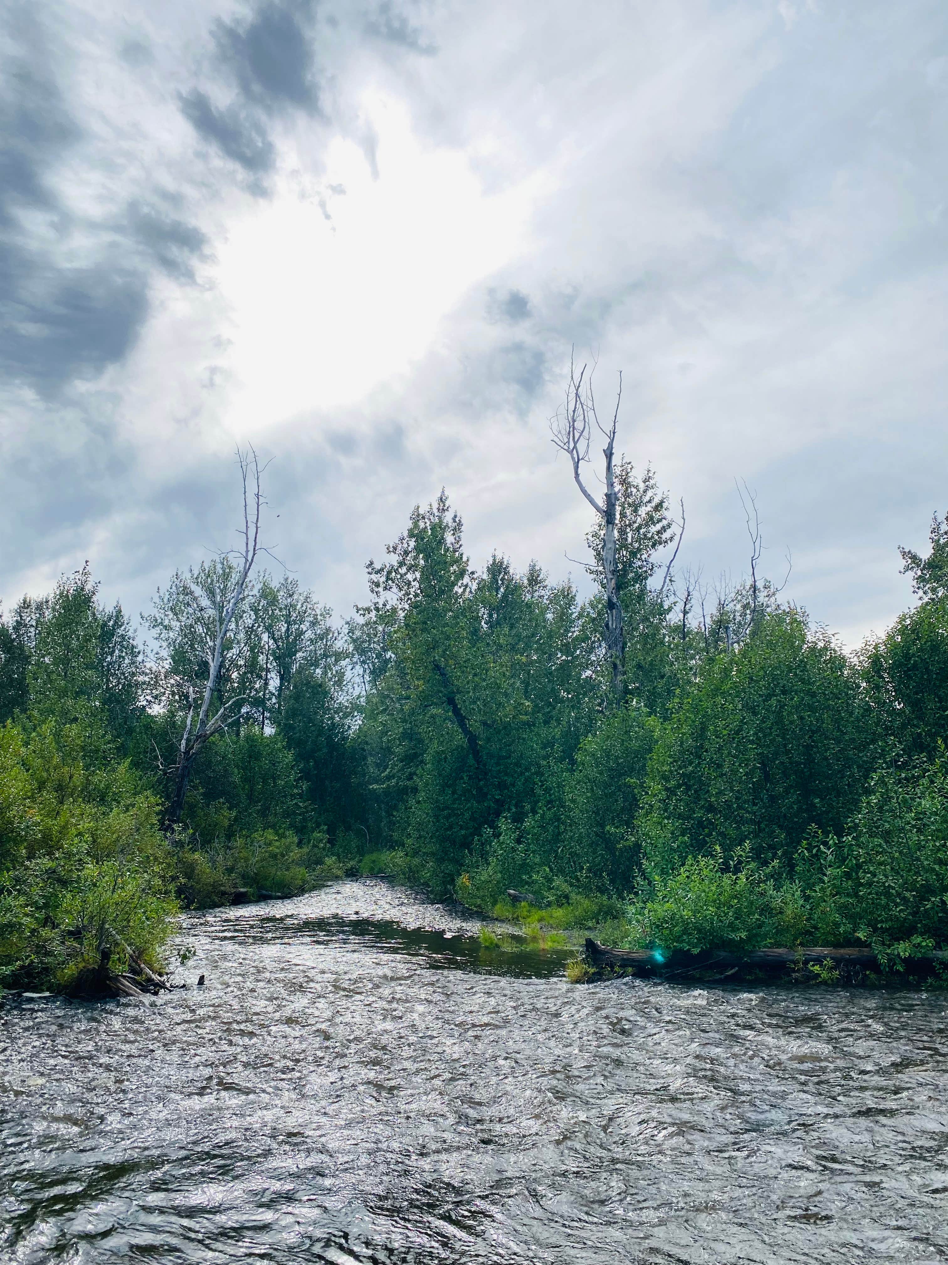 Camper-submitted photo at Caribou Hills Recreation Area Dispersed near Ninilchik, AK